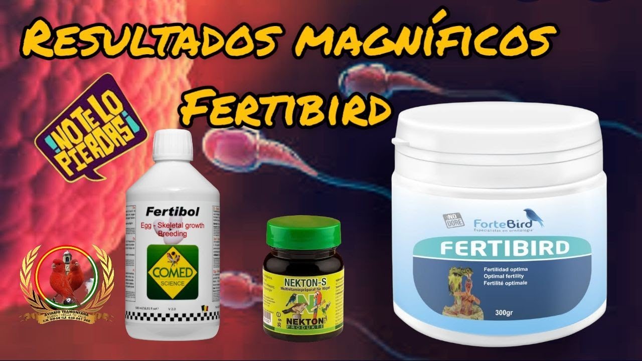 Vitaminas para el celo y su administración 🍀🌍