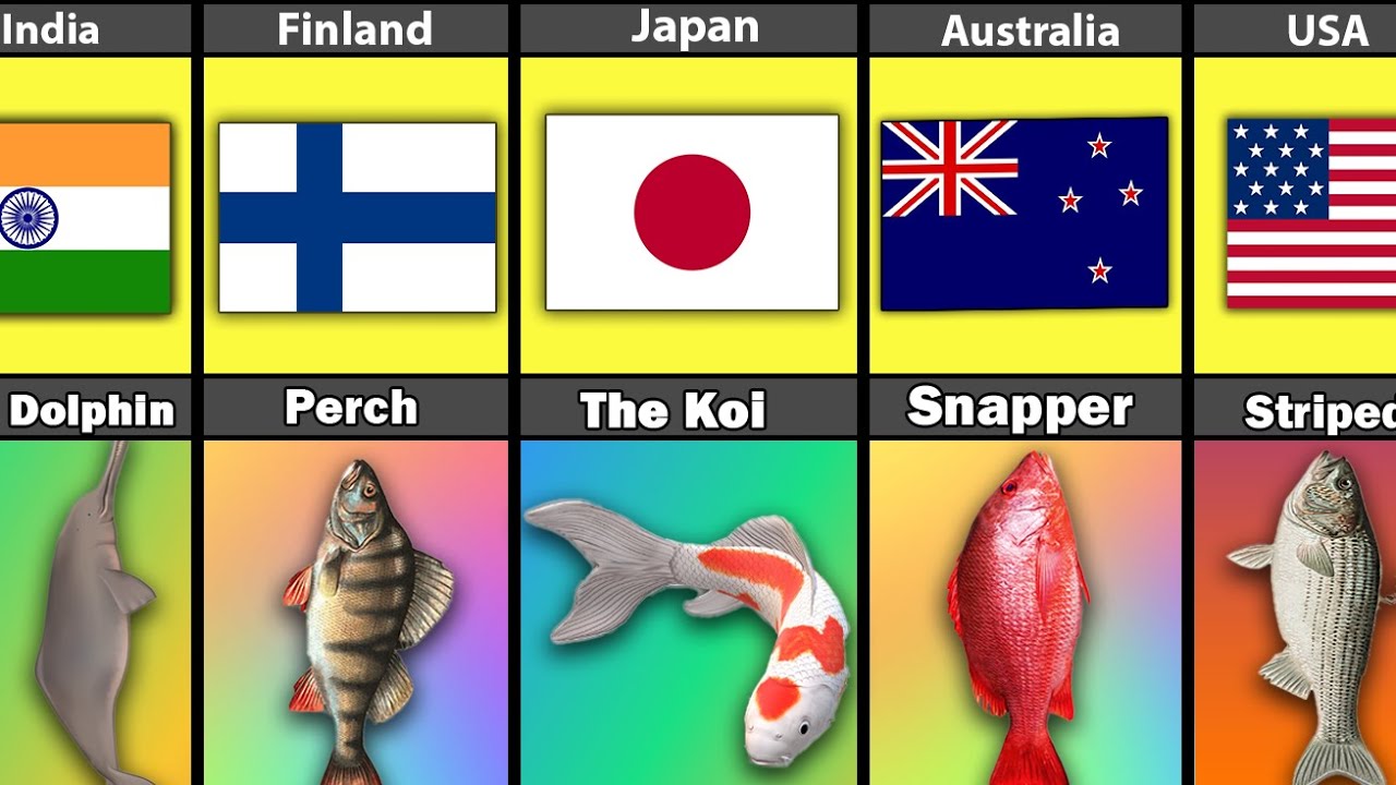 National Fish From Different Countries