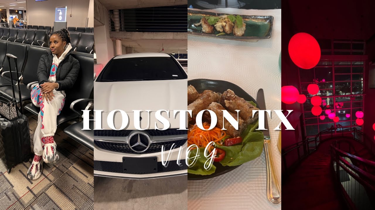 TRAVEL VLOG | Houston we HAVE a problem (literally) Heart + Galleria + Food + DV #houston #vlog