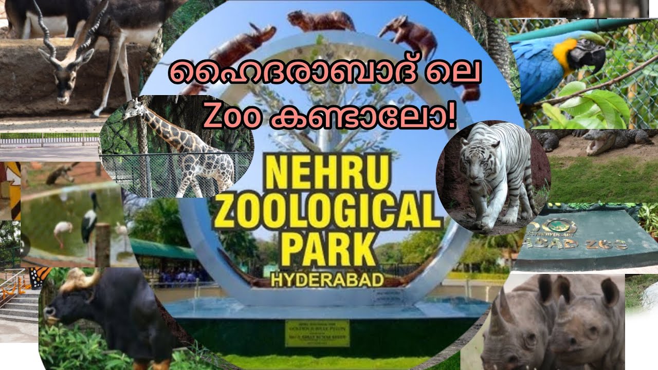 Nehru Zoological Park Hyderabad #Zane'svlogsKL08 
