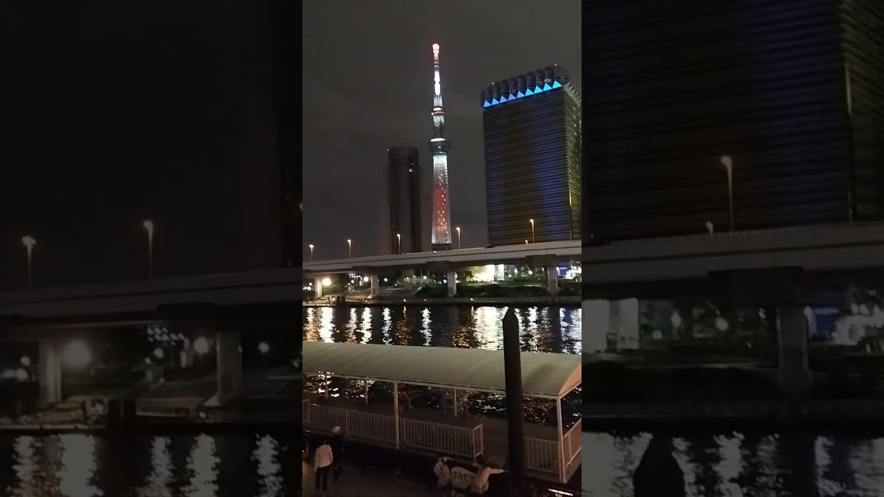 Tokyo🇯🇵 Night View #tokyo #japan #nightlife #travel #tokyocityscape
