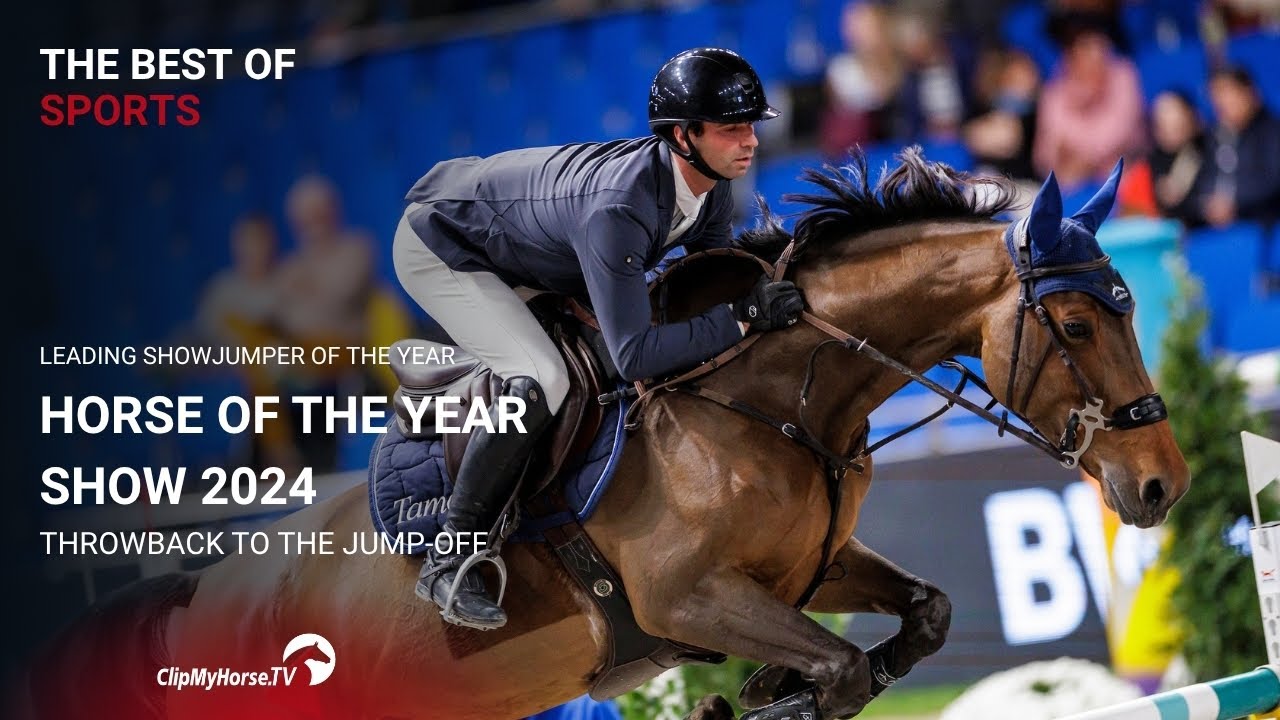 Leading Showjumper of the Year - Jump Off