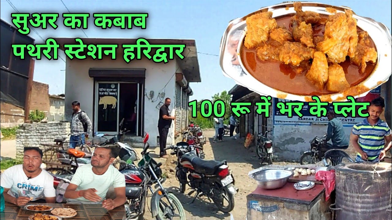 100 रू में भर के प्लेट सुअर कबाब खिलाते हैं || pathri station 🚉 haridwar pork kabab shop uttrakhand
