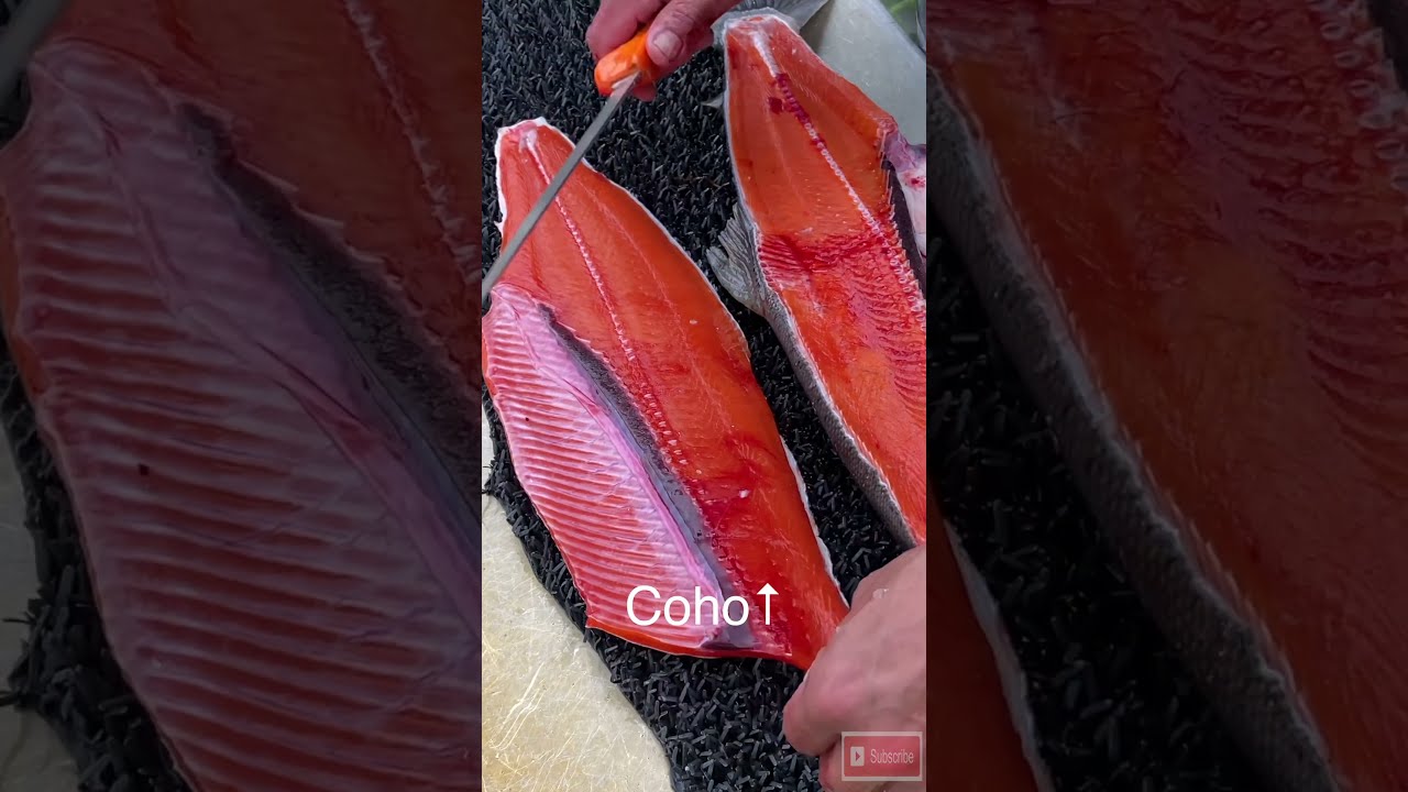 Обязательно посмотрите разницу в цвете красного лосося и кижуча #аляска #лосось #рыбалка