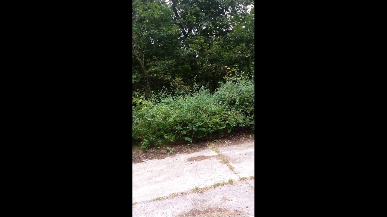 Finsterwalde ZGW gswg , Гарнизон , Финстервальде