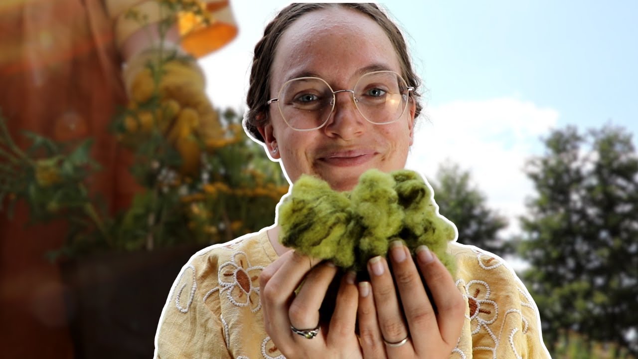 Natural Dyeing with Wild Carrot and Tansy: The Quest for the best Green Dyesource (pt. 1)