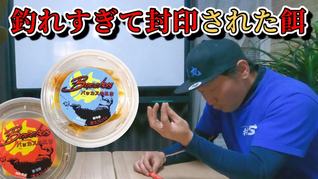 【海上釣堀】ヤバすぎる餌が誕生⁉️話題の海上釣堀餌「バッカス」の効果効能‼️が凄すぎた💦清丸氏のこだわりの詰まった究極の餌とは‼️
