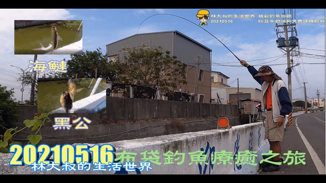 林大叔的生活世界54  20210516本想釣黑公，卻釣上拉力更強的海鰱 (釣魚系列2)