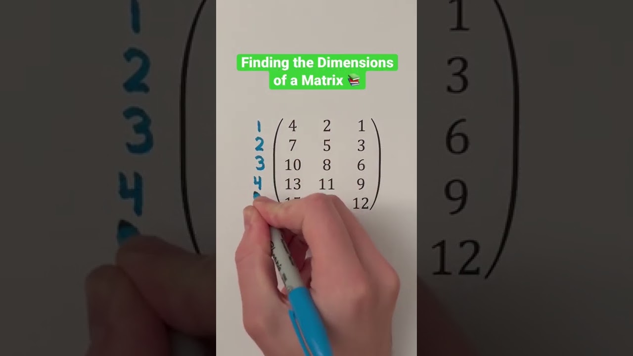 Finding the Dimensions of a Matrix 📚 #Shorts #linearalgebra #math #maths #mathematics #education