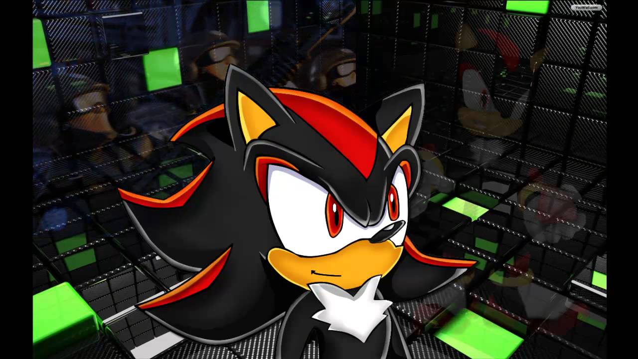 Critica a shadow the hedgehog mi primer loquendo [[HD]]