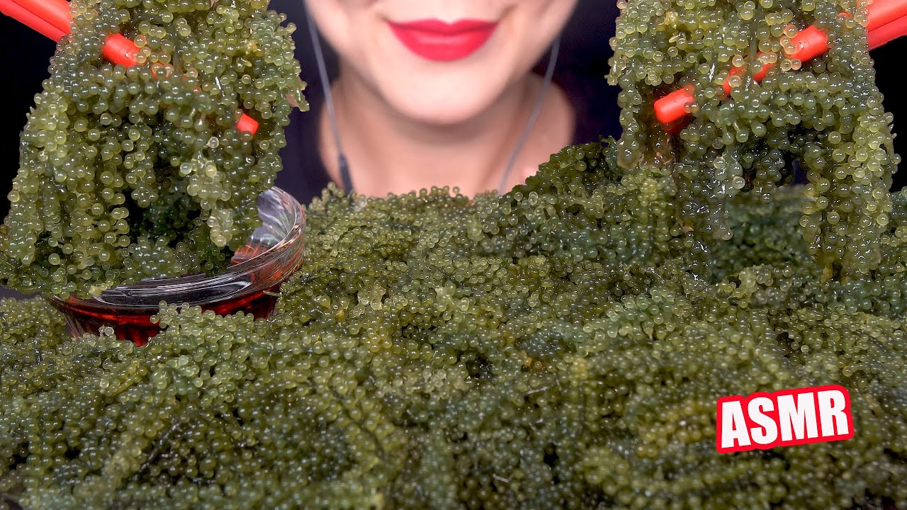 SEA GRAPES ASMR MUKBANG 바다포도 리얼사운드 먹방