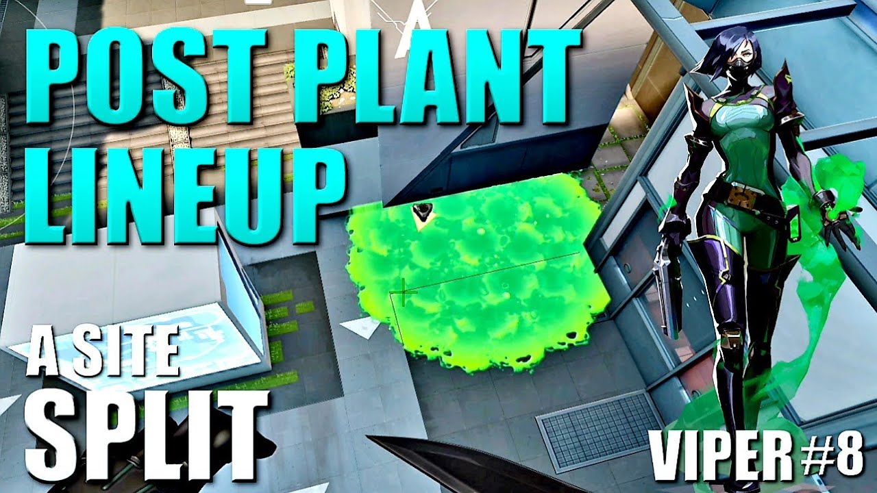 VIPER LINEUPS - SPLIT - Post Plant Snake Bite Molly Setups #8 - A Site - Behind Wall