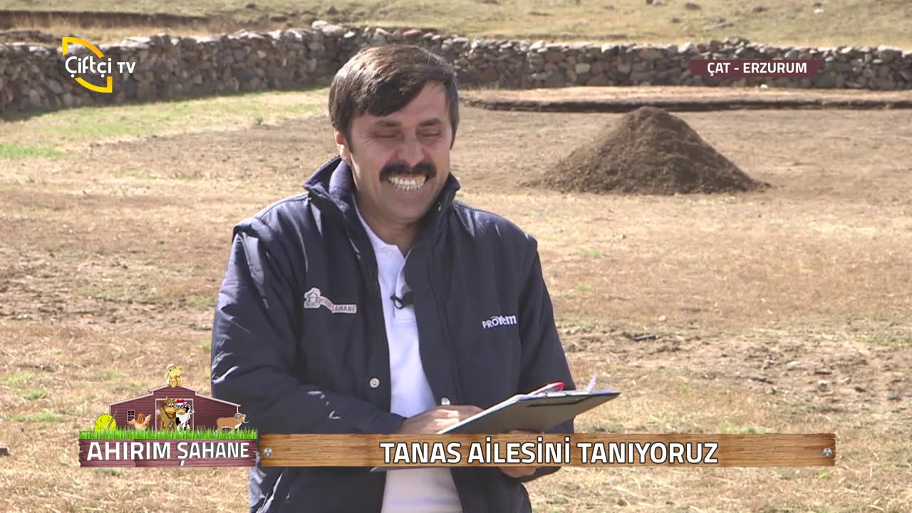 Ahırım Şahane-Çat Erzurum