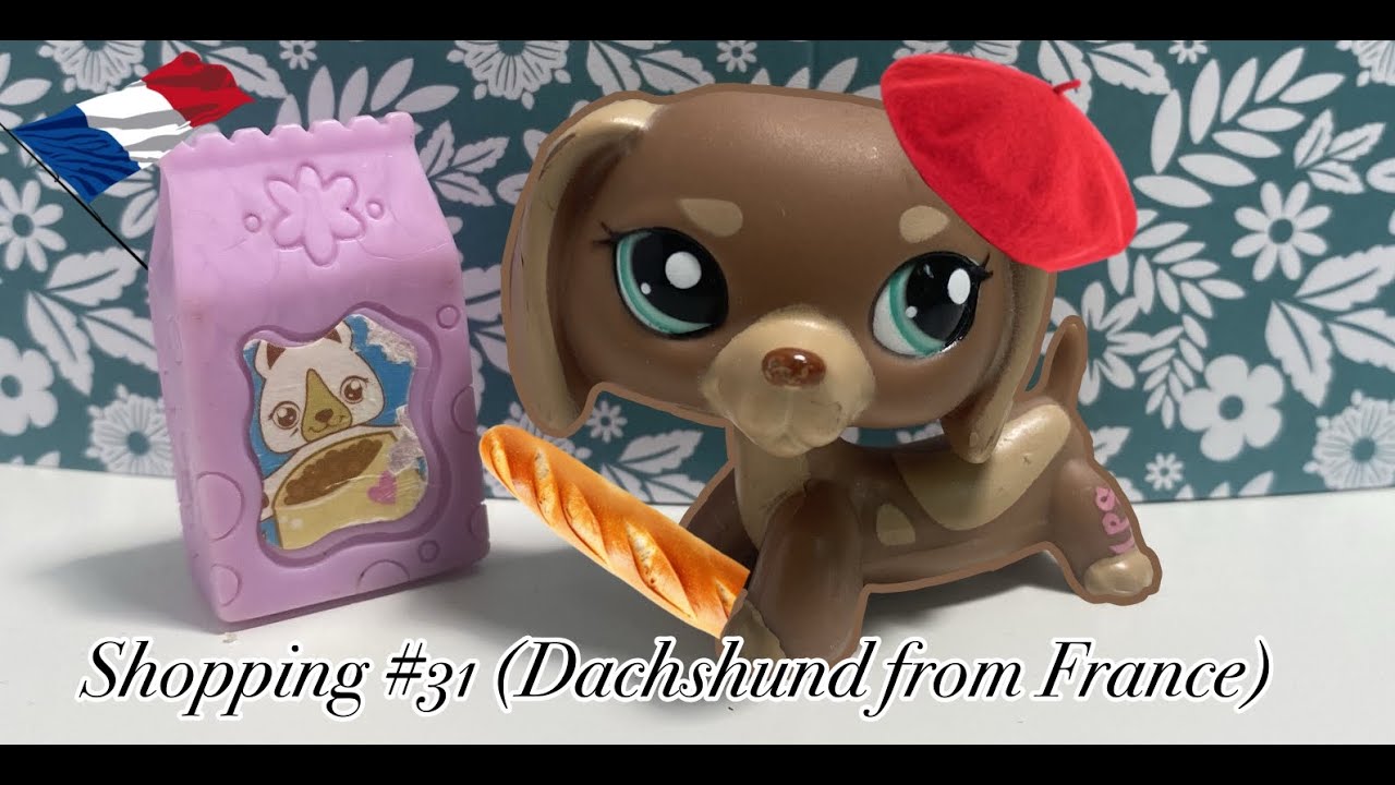 Lps: Shopping #31 (Dachshund from France)
