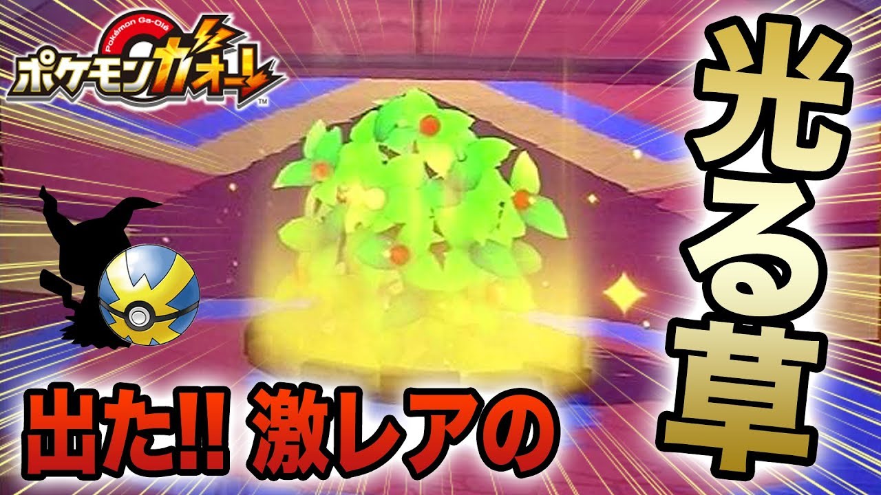 【激レア】ポケモンガオーレ 「ゲキつよ」ミミッキュ ゲット!?【おうごんのくさむら】