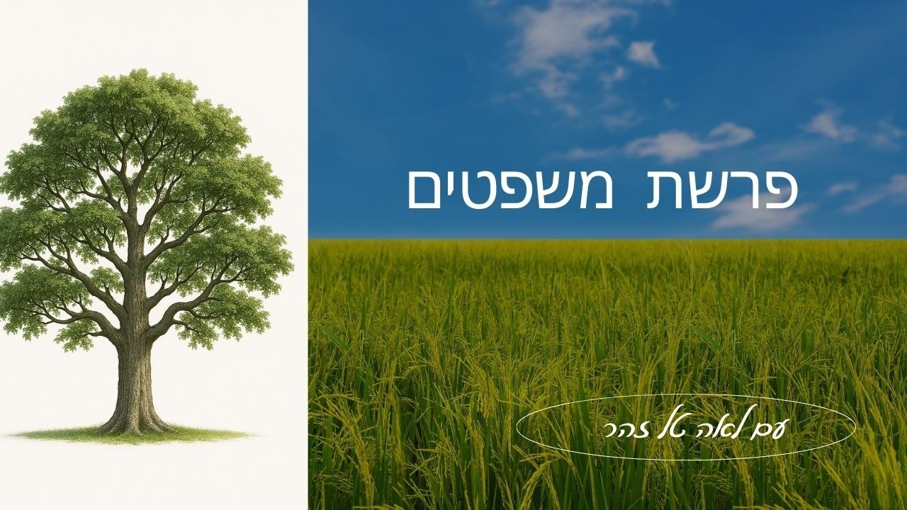 פרשת שבוע I פרשת משפטים I עם לאה טל זהר