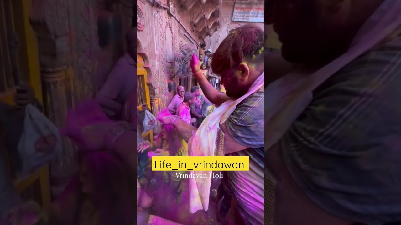 Holi celebration in Bankey Bihari Temple #2023 #holispecial #vrindavan
