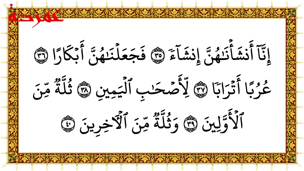 Halaman 535 Surah Al Waqi'ah, Ayat 17 - 50