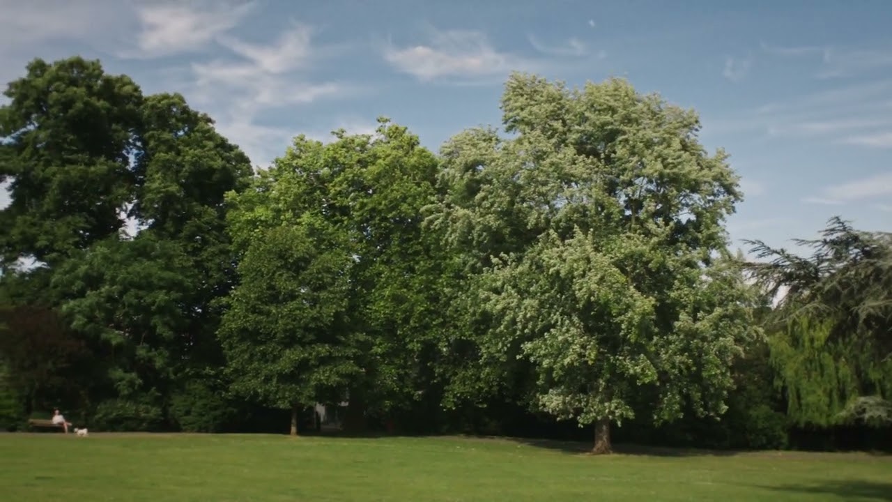 FILM LOOK (ON A BUDGET) -  TEST - CANON 7D MKI - MAGIC LANTERN - 2022