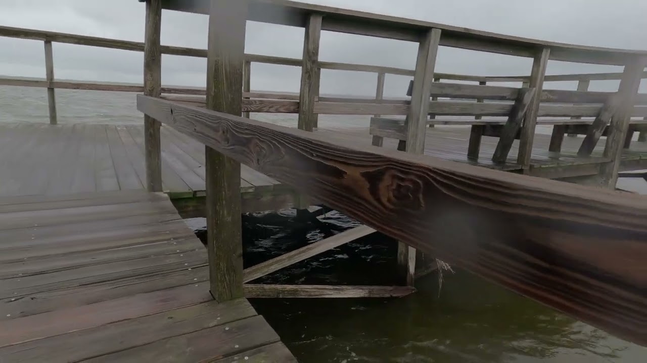 Lake Apopka Pier | Rainy Gloomy Day with Birdsong & Mist 2/25/2025