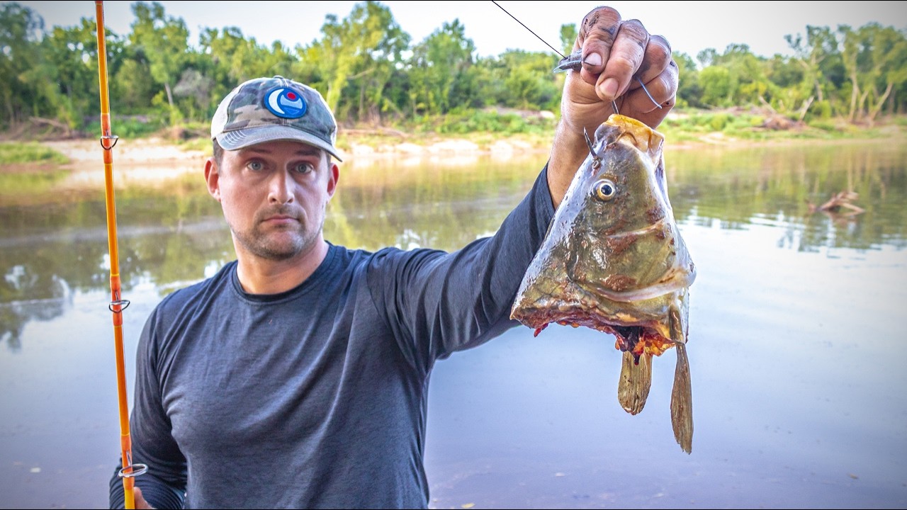 BIG BAIT. BIG FISH. ALL THE PROOF YOU NEED.