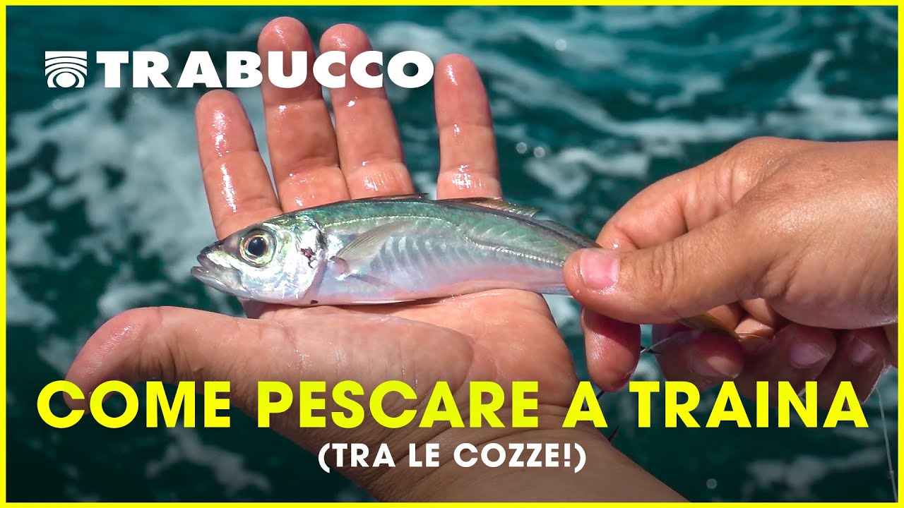 COME pescare a TRAINA... tra le cozze! | Trolling w/ @Rapturelures | @trabuccofishing