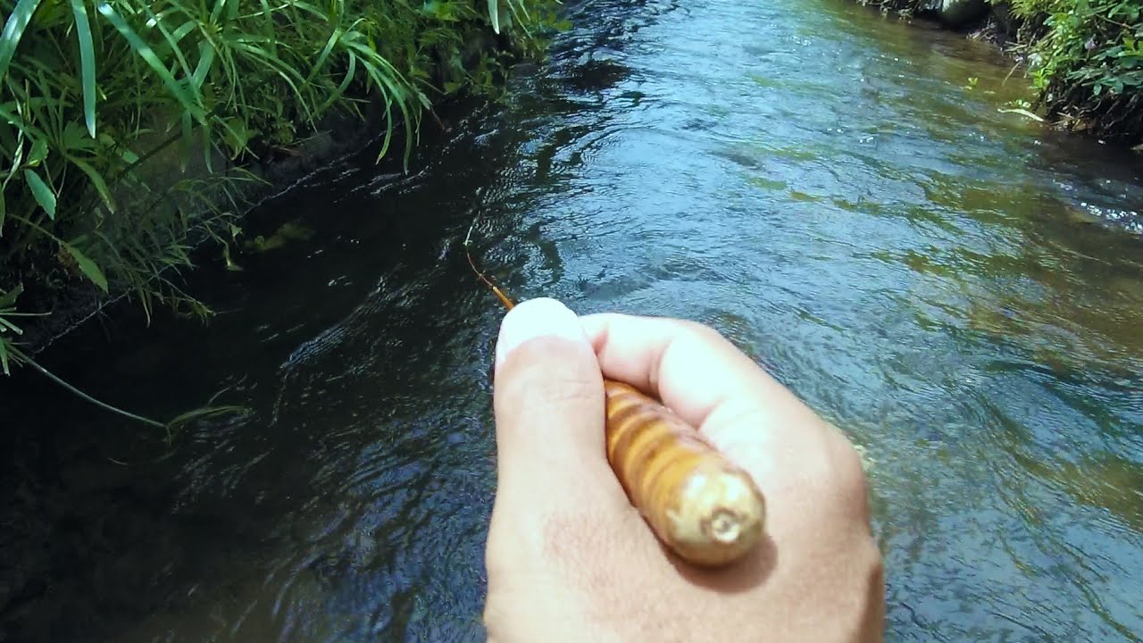 Slow Living Van Jogja - Waderan / Tanago / Micro Fishing