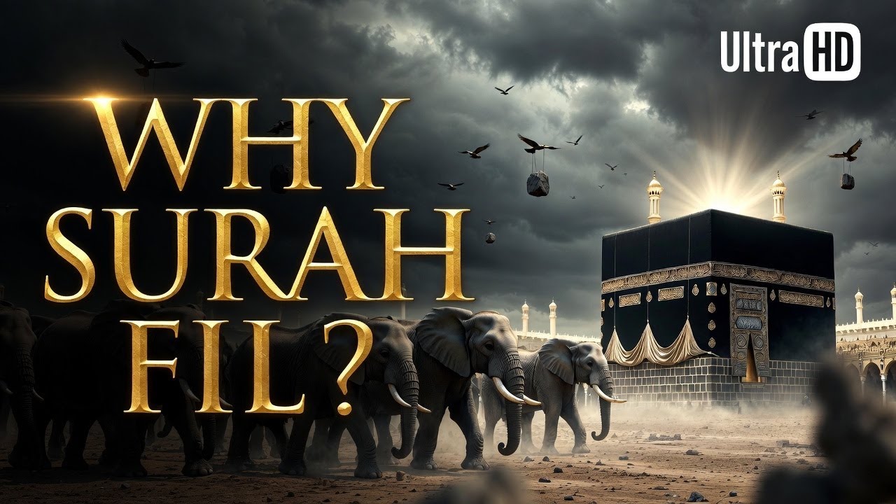 Why surah fil was revealed ? | Cinematic Islamic Story