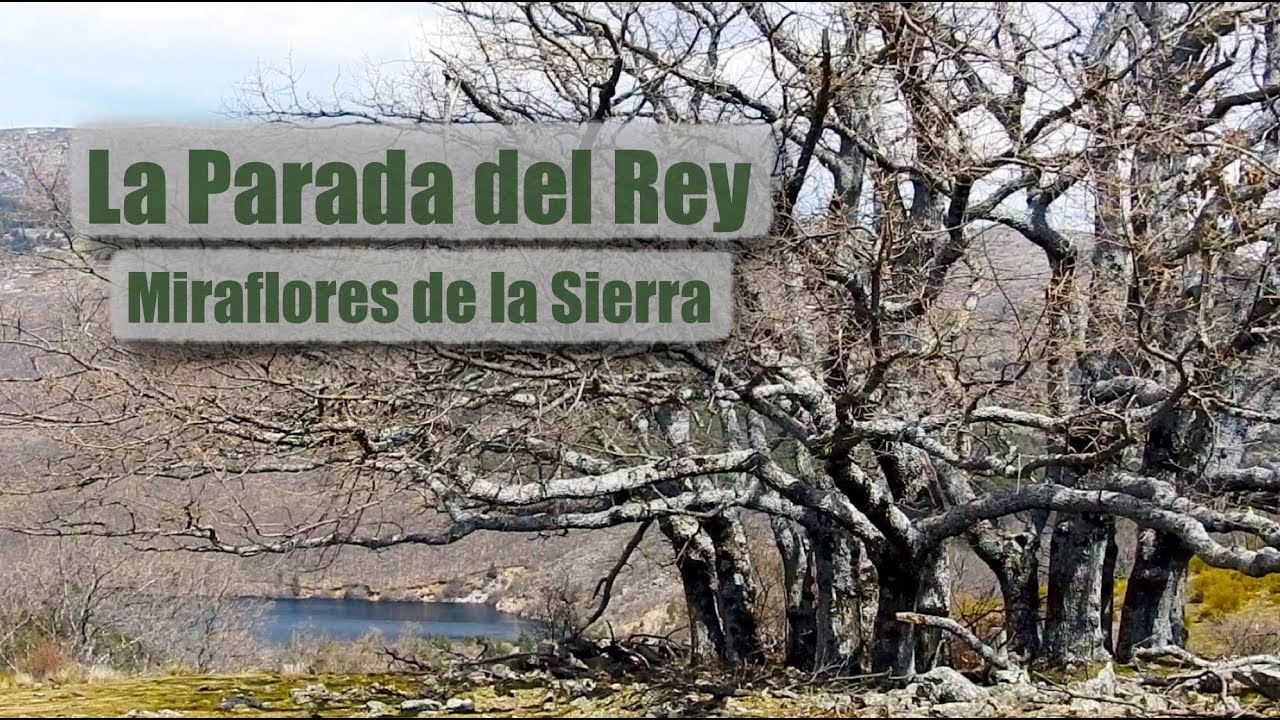 La Parada del Rey en 90