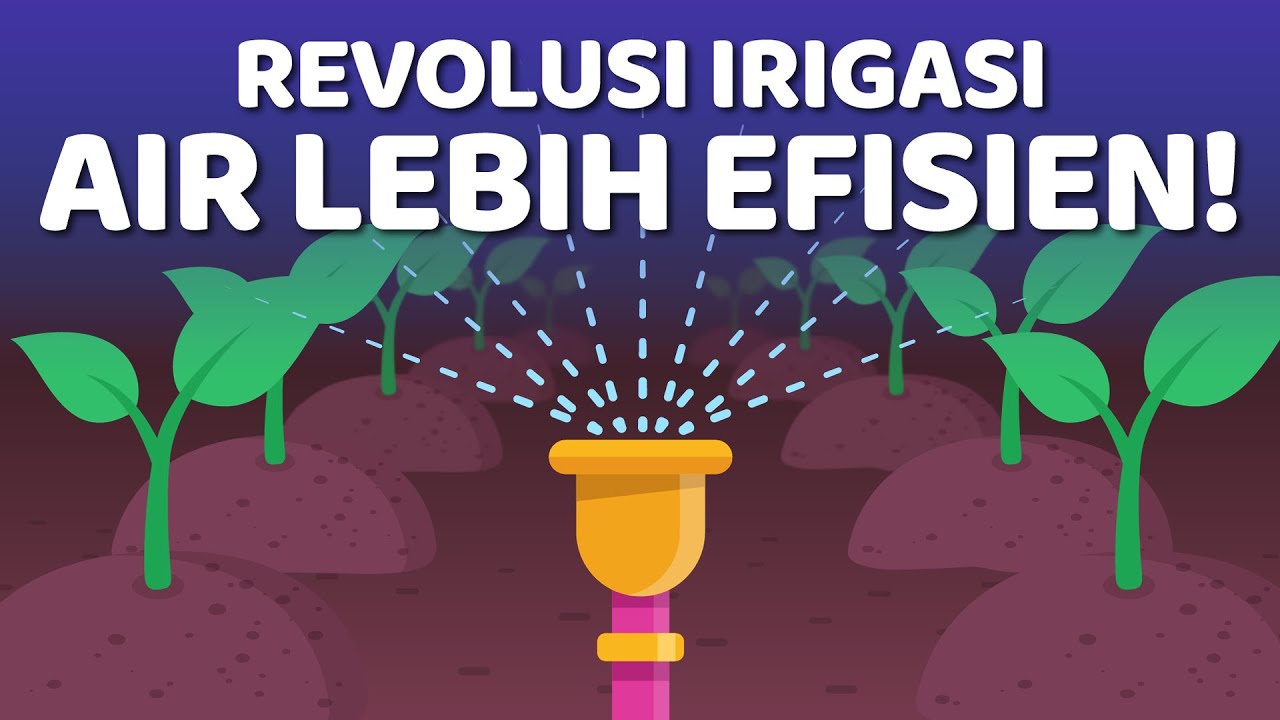 Revolusi Irigasi: Cara Baru Mengelola Air di Lahan Pertanian