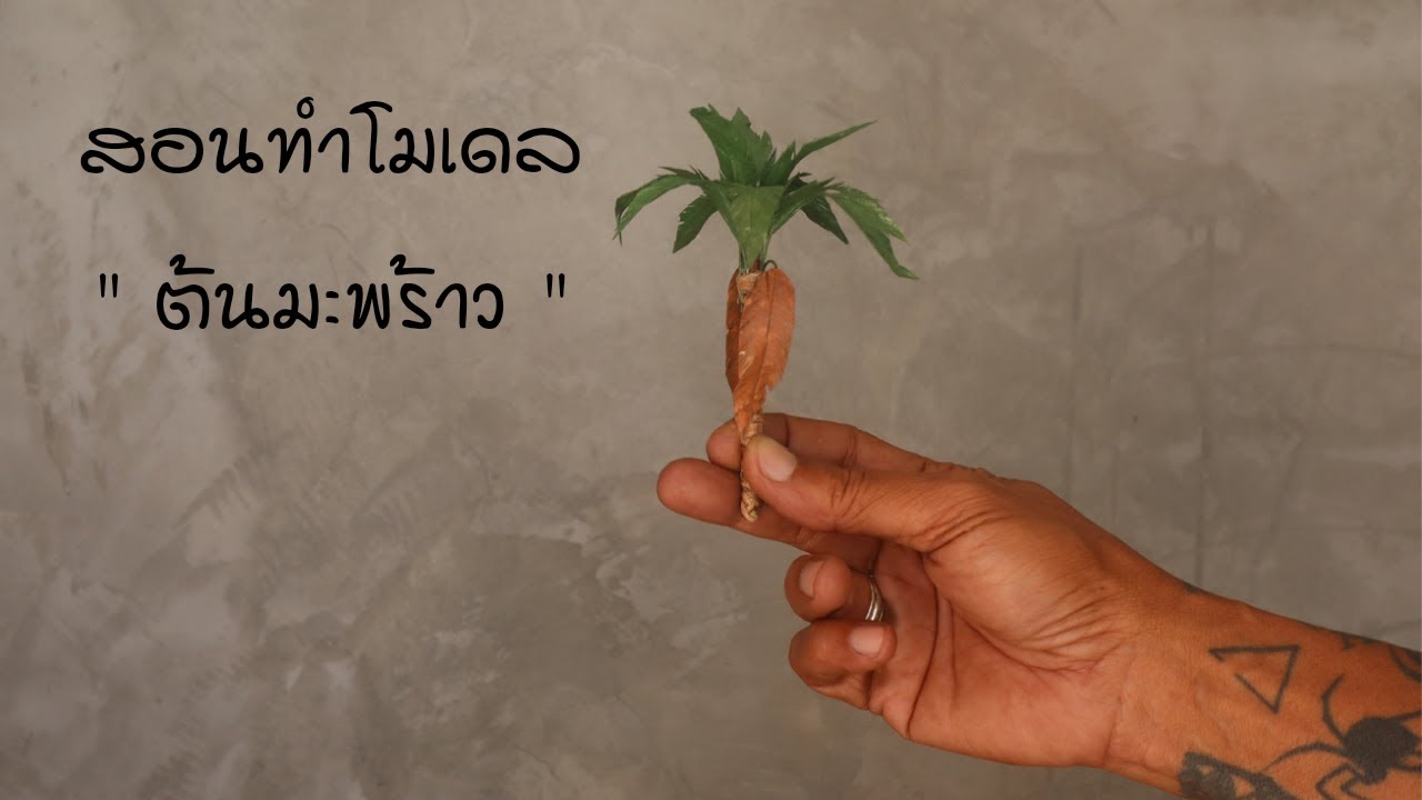 สอนทำโมเดลต้นมะพร้าว โดย ลุงติ๊กสเกล