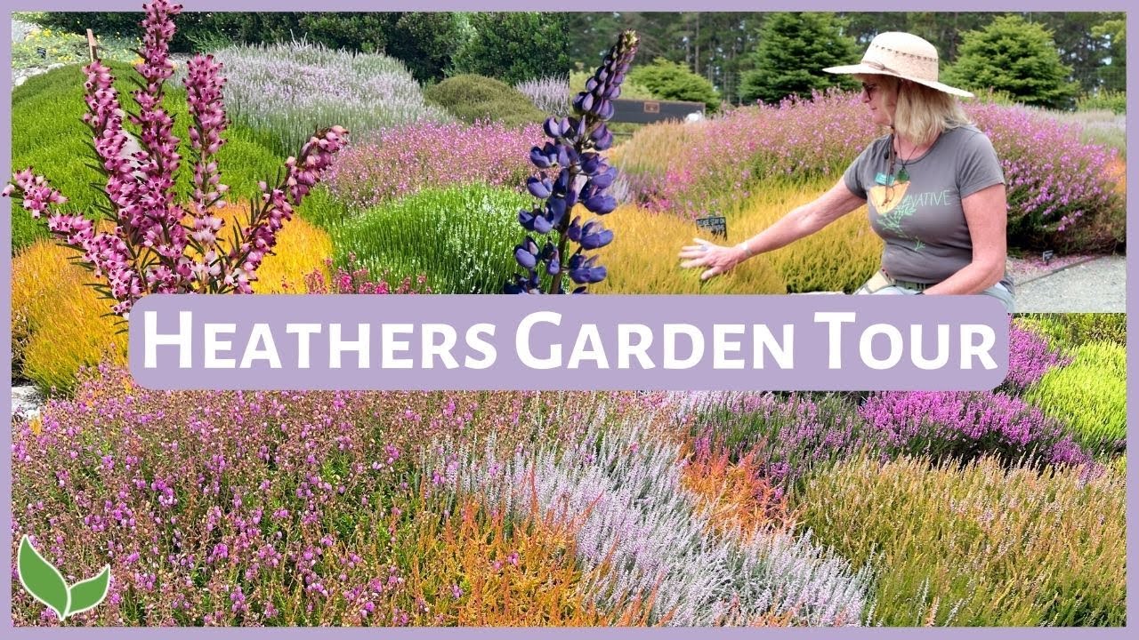 Heathers Garden Tour | Garden Color All Year!
