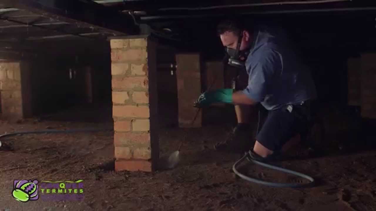 CONQUER TERMITES TERMITE TREATMENT VIDEO