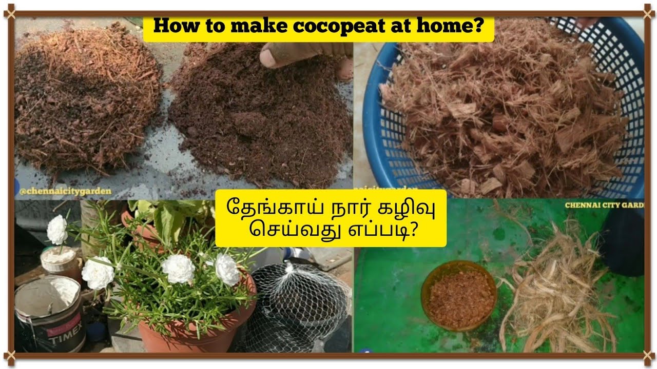How to make cocopeat at home? Easy to do!!வீட்டிலேயே கோகோ பீட் செய்வது எப்படி?