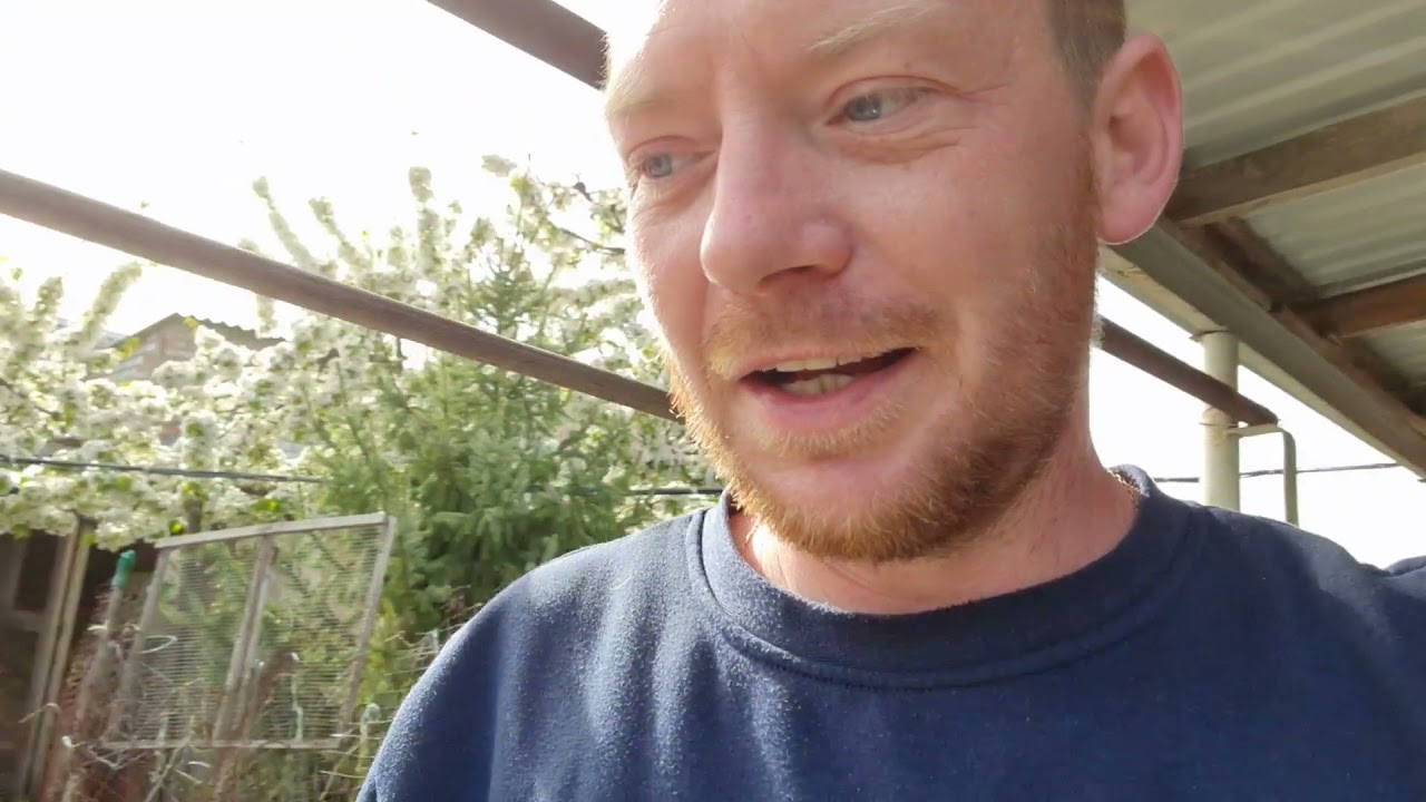 Renault Megane 4. Замена масла двигателя и все фильтры, своими руками. ТО отличается от Megane 3!!!