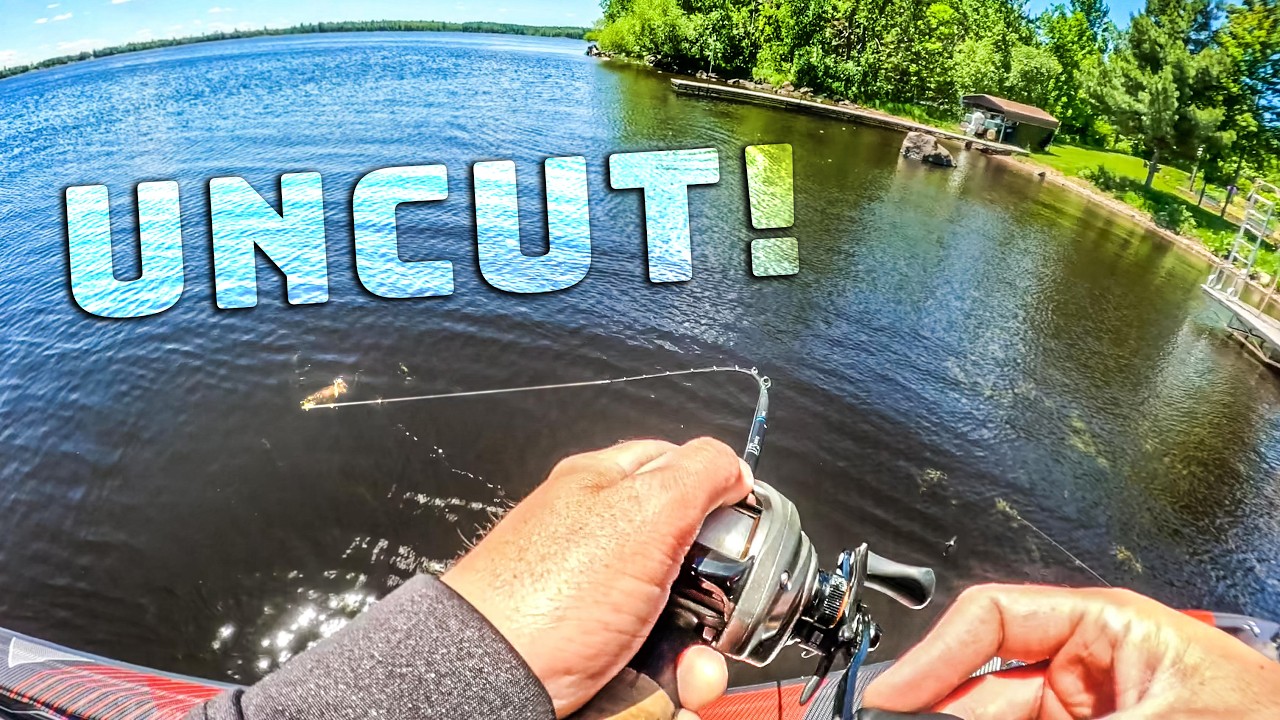 How To Fish SHALLOW For Summer Bass! (Uncut Finesse Fishing Tips)