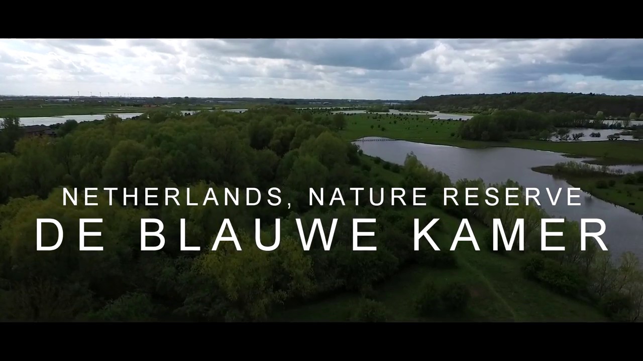 Exploring Natuurgebied de Blauwe Kamer, wageningen | Drone | Cinematic