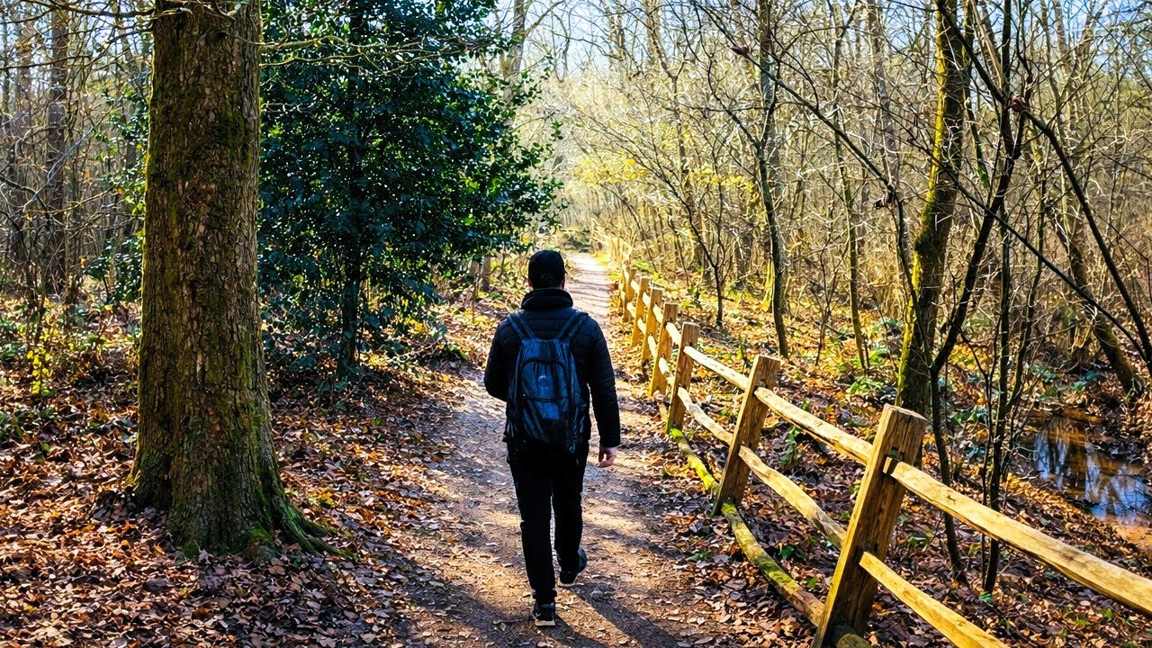 *HIKING* Weekly Walks - Ugchelen (Solo Hiking Along The Ugchelse Brook)