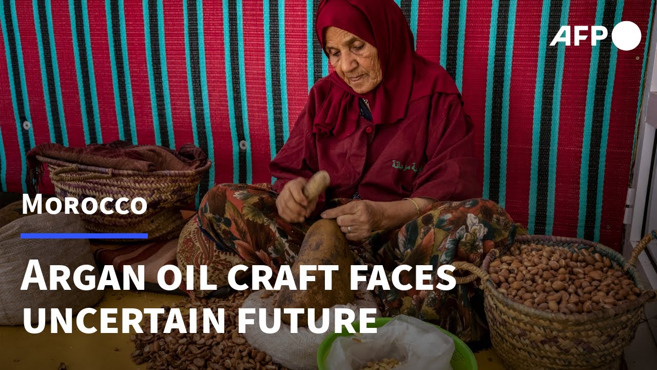 Moroccan argan oil craft faces uncertain future | AFP