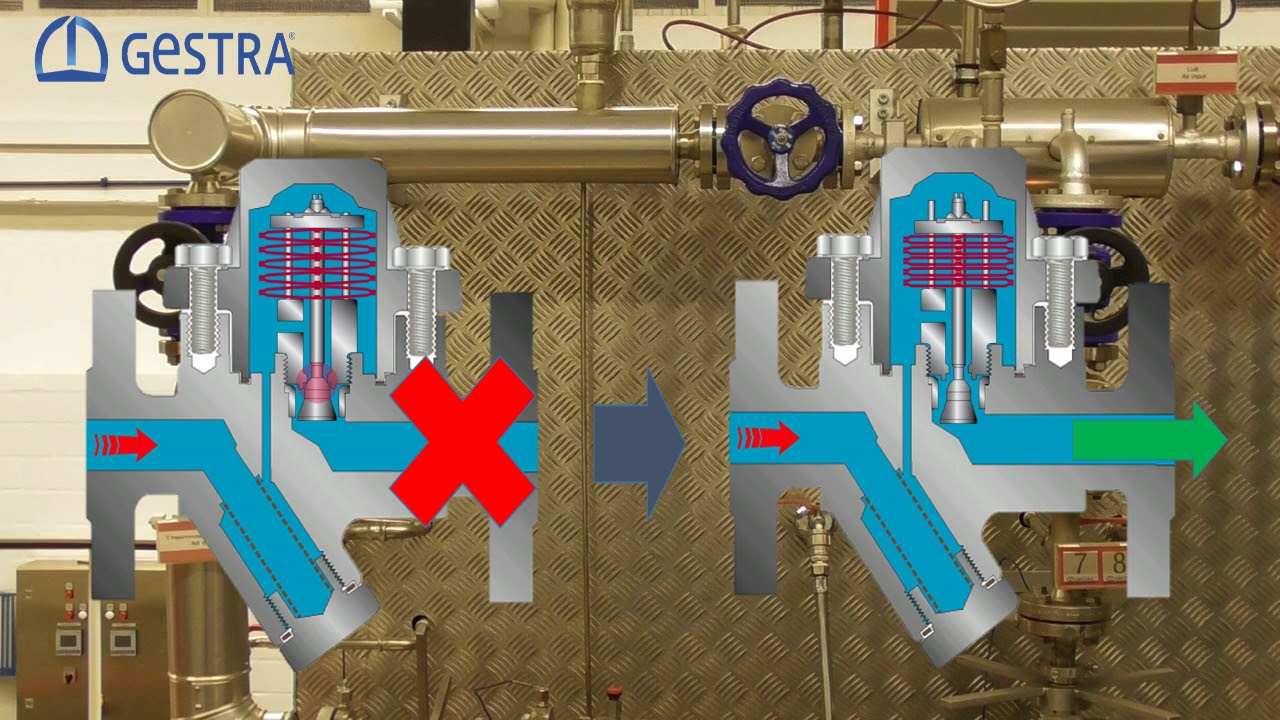 BK 45 Steam Trap