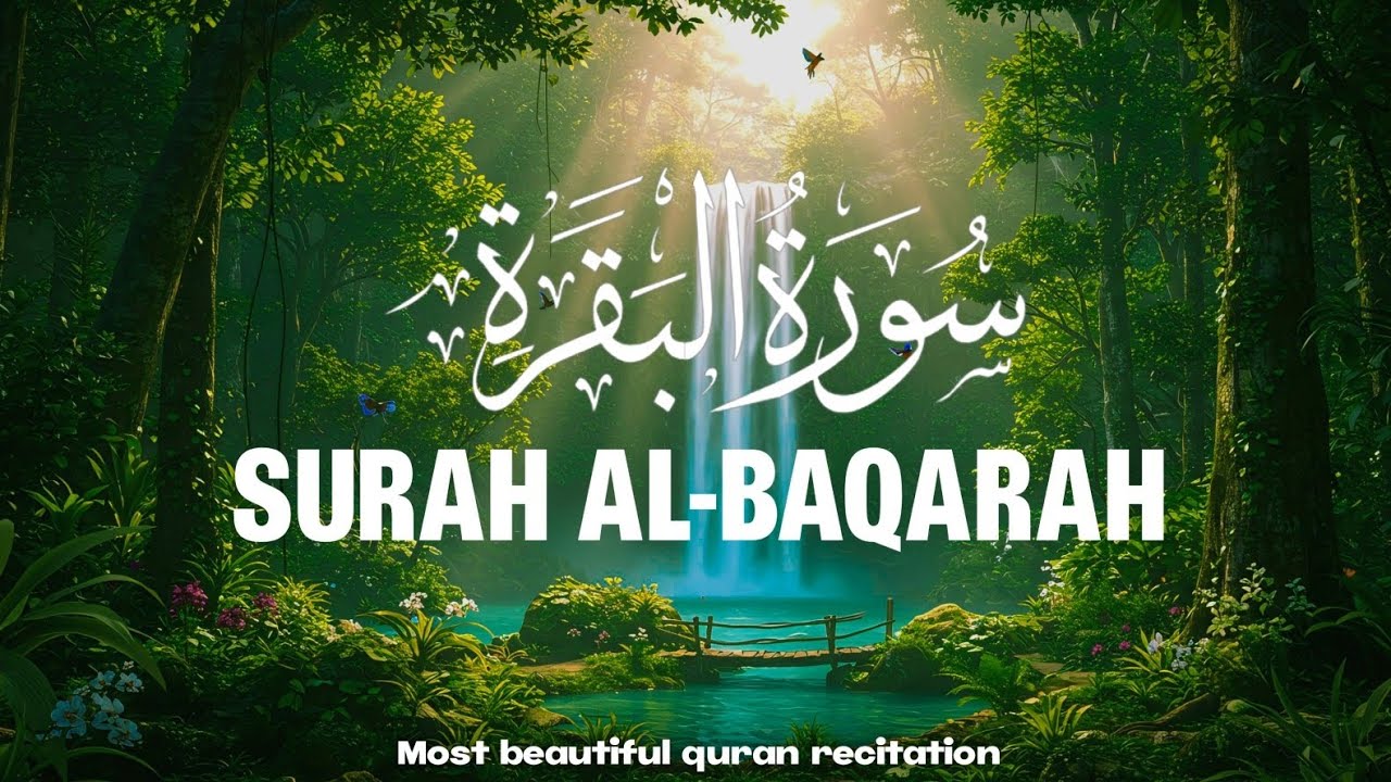 Surah Al-Baqarah | A Powerful Recitation for Heartfelt Peace and Protection