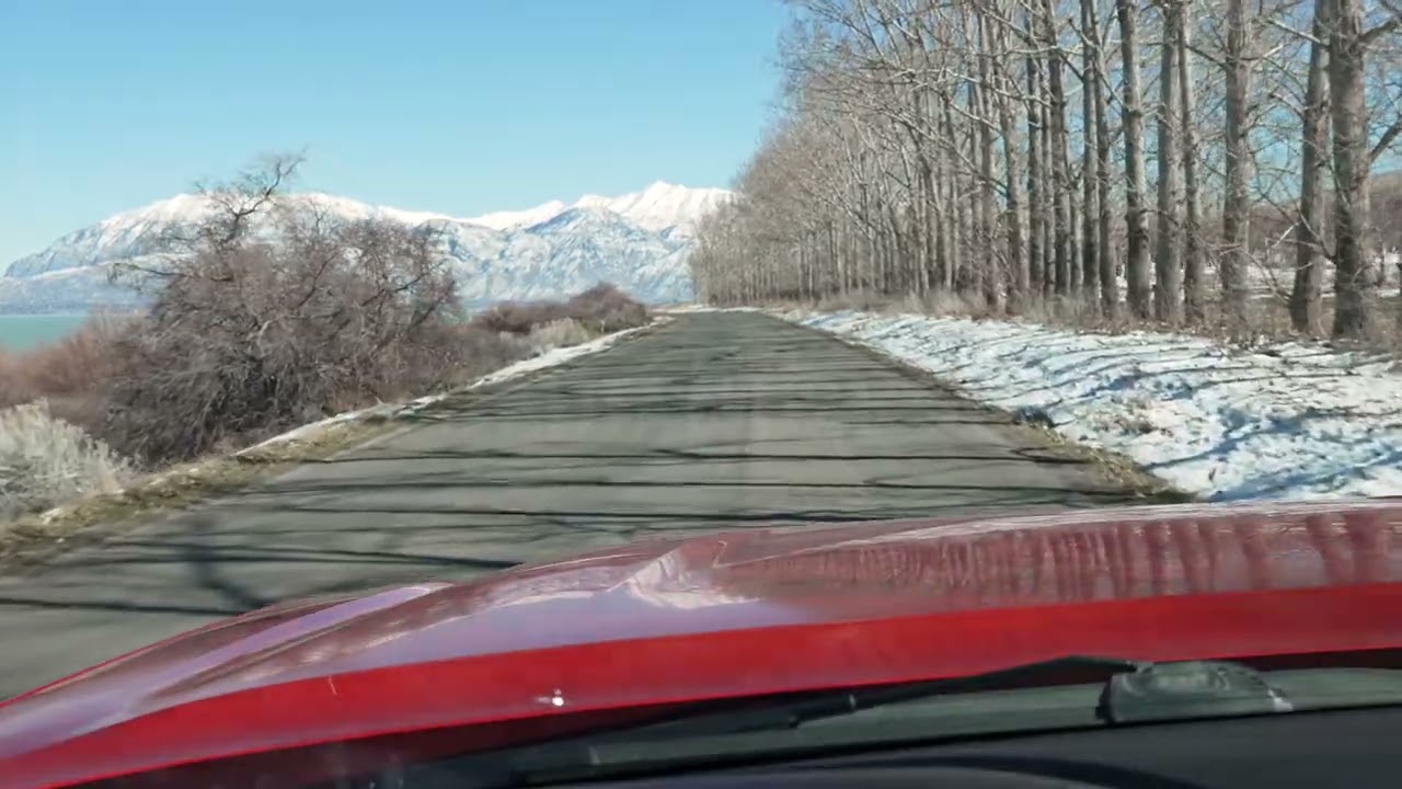 Stock Video - View from vehicle driving down road in winter along trees