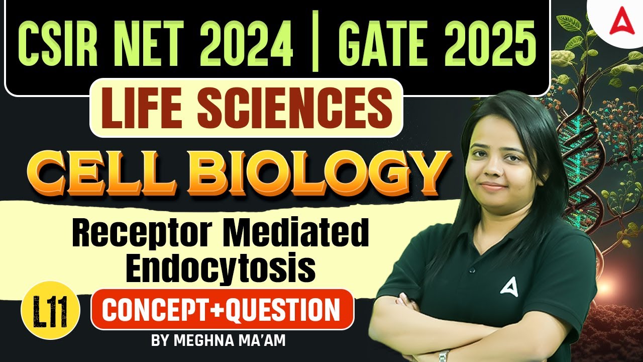 CSIR NET Dec 2024 | Life Sciences | Cell Biology | Receptor-Mediated Endocytosis | L11 | Concept + Q