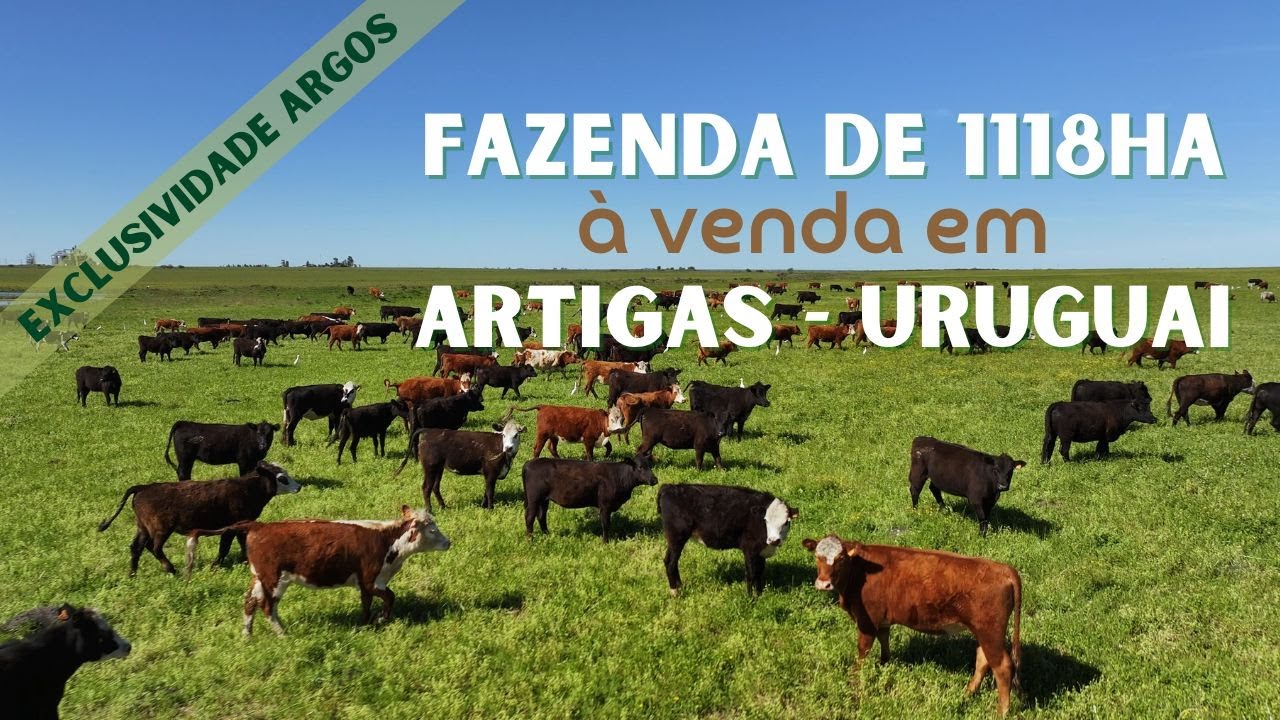 Fazenda 1118ha À VENDA em Artigas no Uruguai (EXCLUSIVIDADE ARGOS)