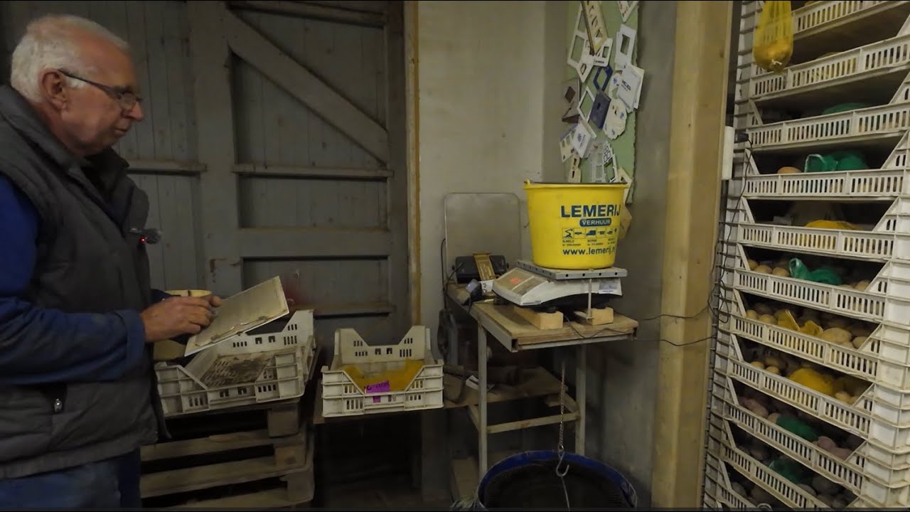 Селекция картофеля № 287: объяснение, клоны второго года.