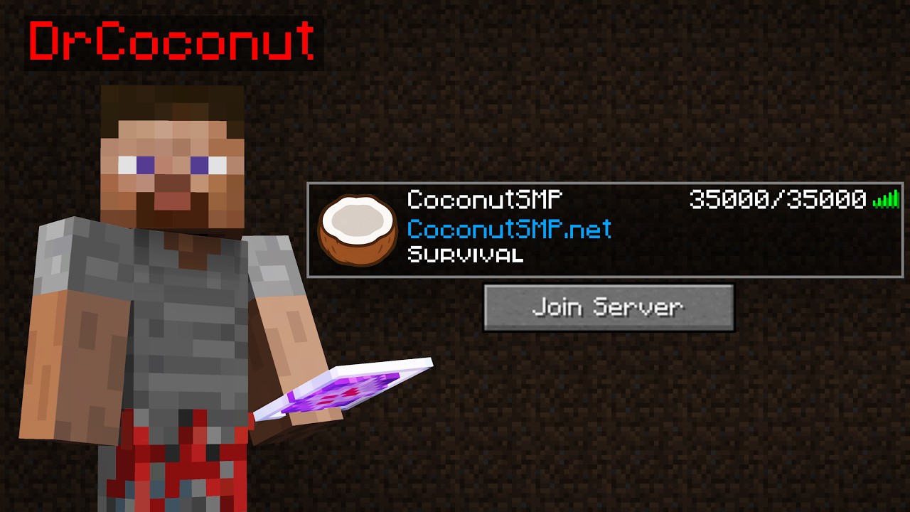 I Tried Donut SMP Copies