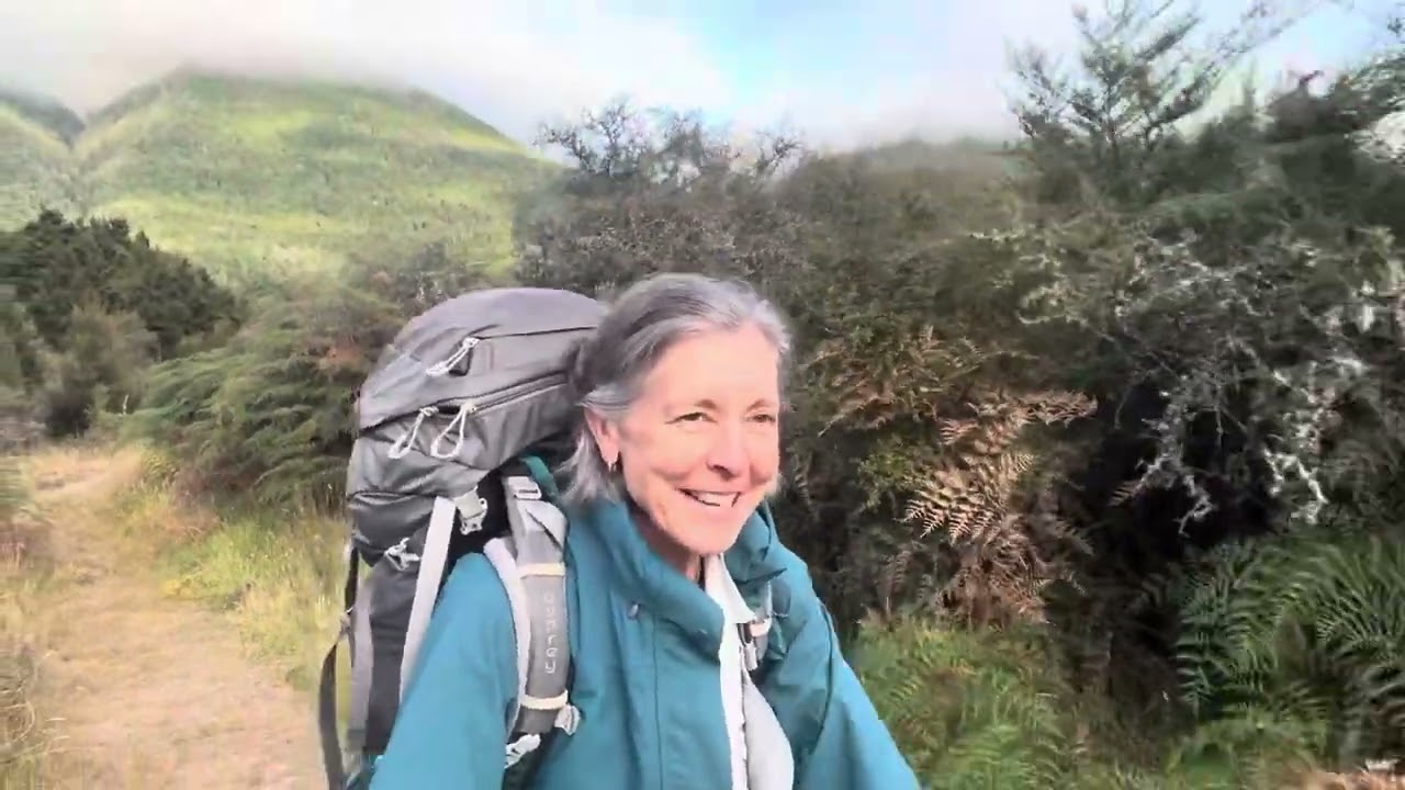 Te Araroa Day 117 | Boyle Village - Rokeby Hut back to Boyle Flat Hut