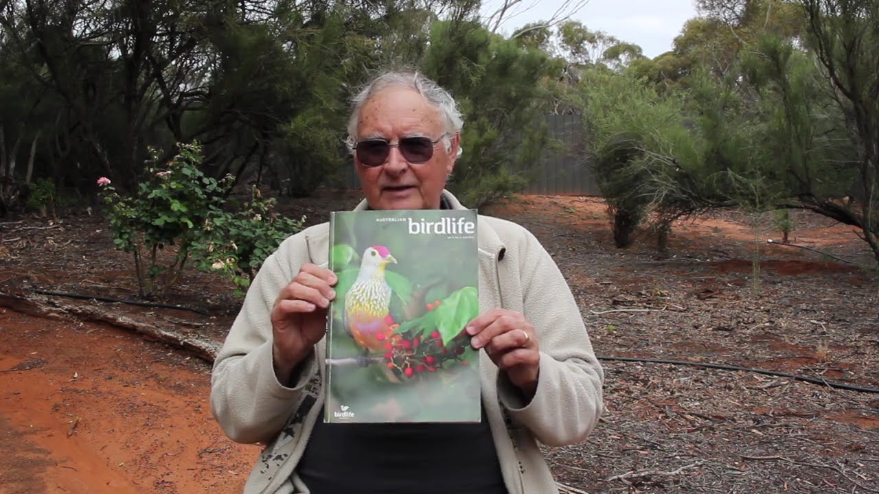 Encounters with Australian Birds Episode 8  Pigeons and Doves