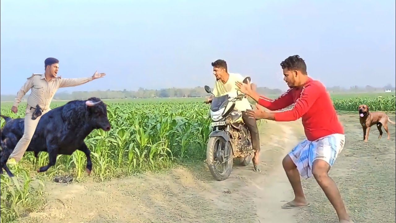 New comedy amazing funny Videos 2023 New year funny video  By Bindas Fun Ds Ep-69