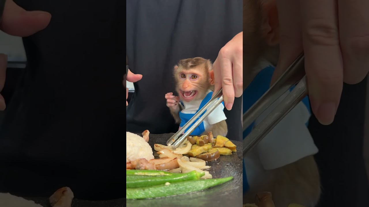 BBQ at home with baby monkey BiBi | Curious Monkey Family's Daily